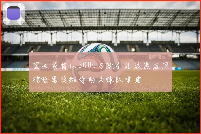 国米或将以3000万欧引进波黑后卫穆哈雷莫维奇助力球队重建