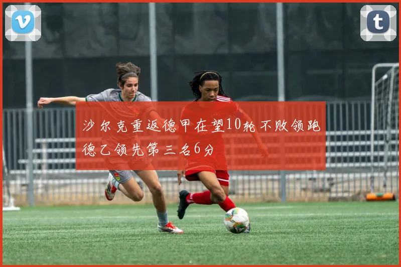沙尔克重返德甲在望10轮不败领跑德乙领先第三名6分