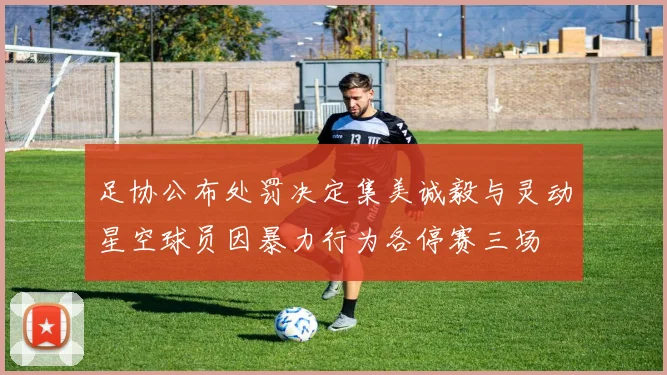 足协公布处罚决定集美诚毅与灵动星空球员因暴力行为各停赛三场